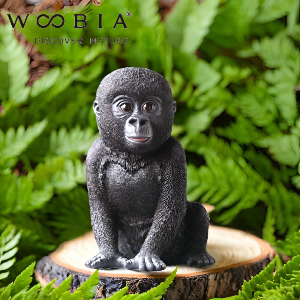 楽天市場】【在庫限り 20％OFFクーポン】【特典付】( 赤ちゃんゴリラ