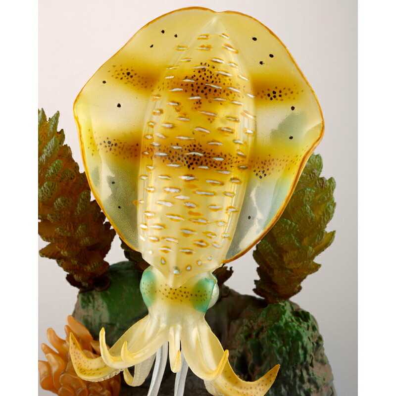 海洋堂(KAIYODO)] SHIMANO×海洋堂 STRIKEFANTASY障泥烏賊 アオリイカ