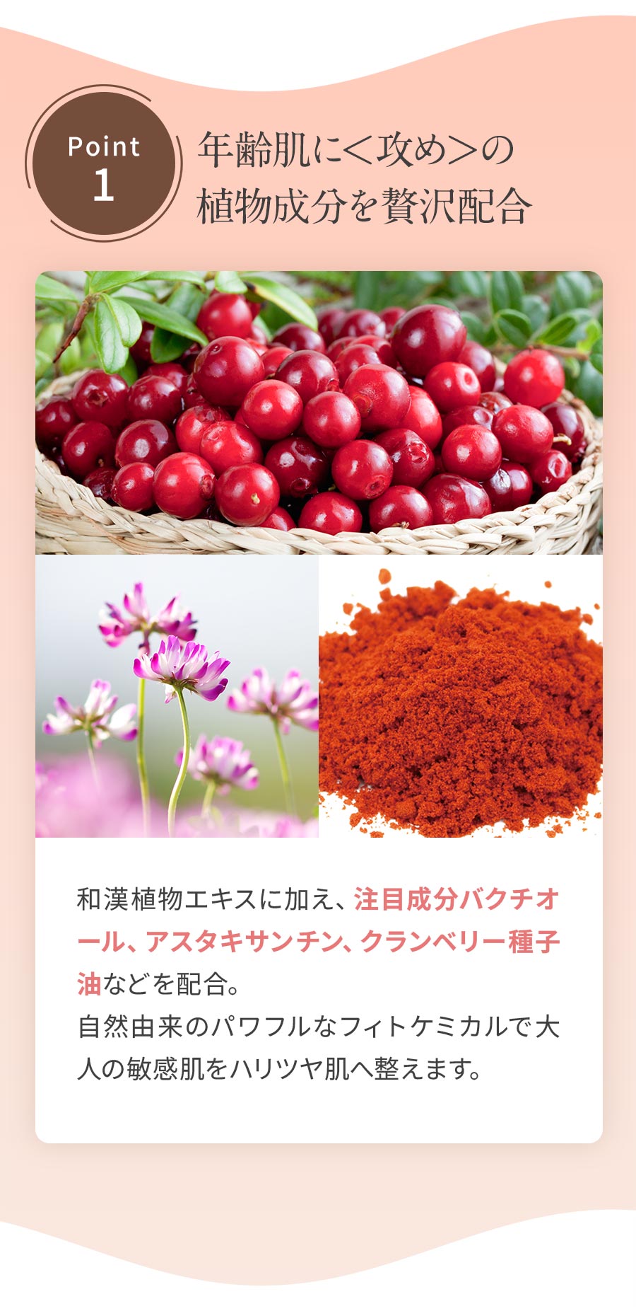 楽天市場】☆送料無料・初回返金保証☆[オーガニック 美容液]Natures