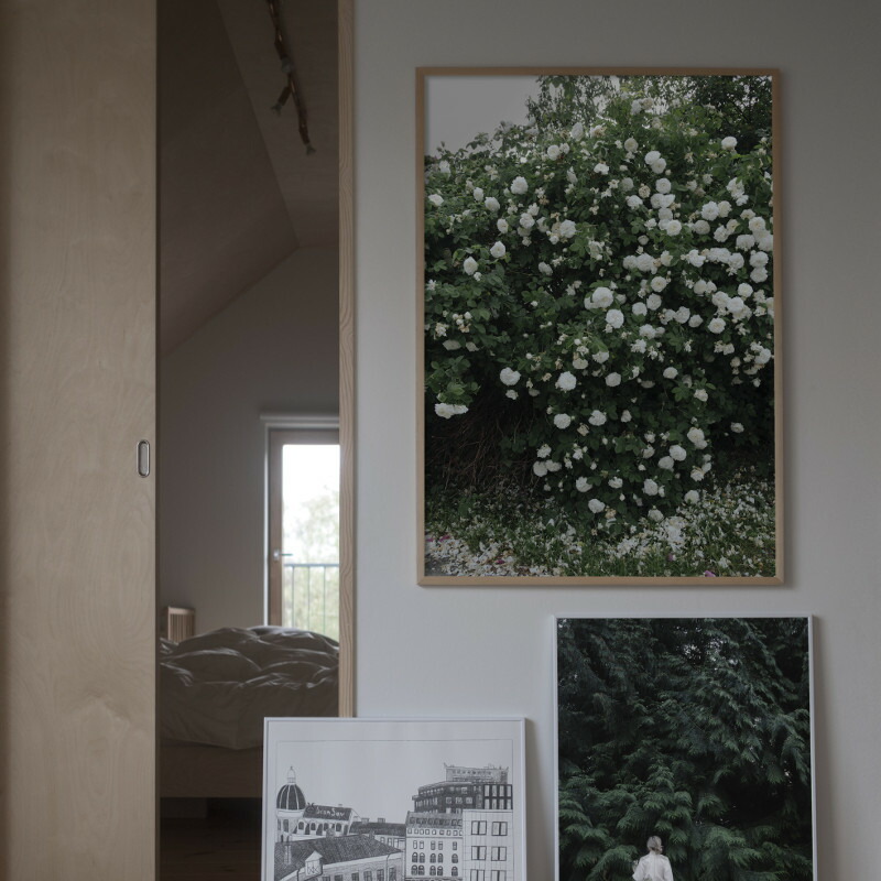 楽天市場】【サイズが増えました】スウェーデン Fine Little Day WHITE