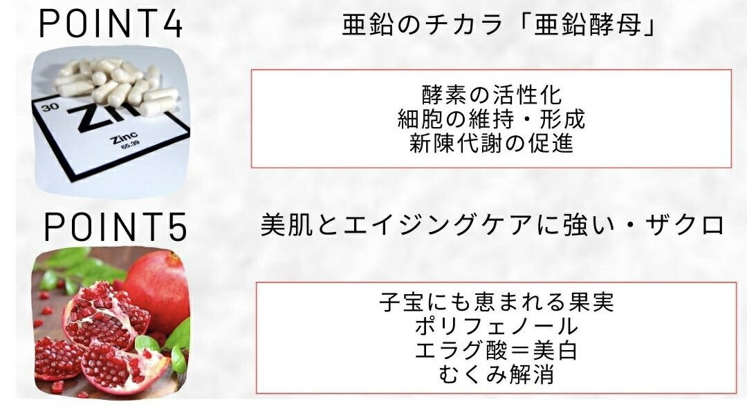 楽天市場】ファストザイム ファストザイムイオ ファストザイムスリム