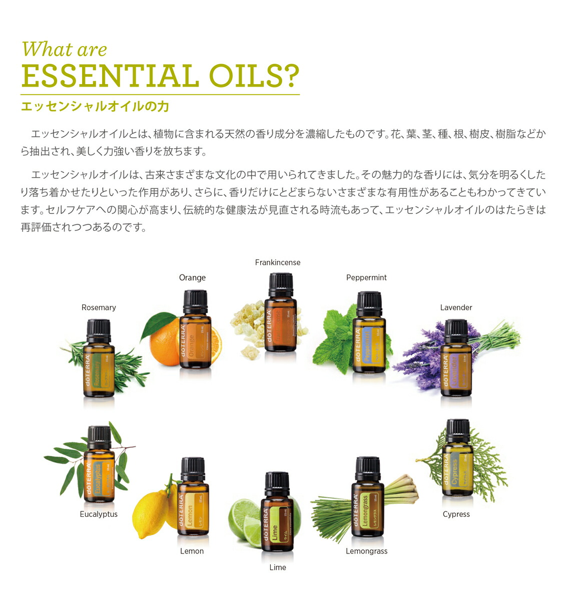楽天市場】【平日15時まで/当日出荷】 ドテラ doTERRA パルマローザ