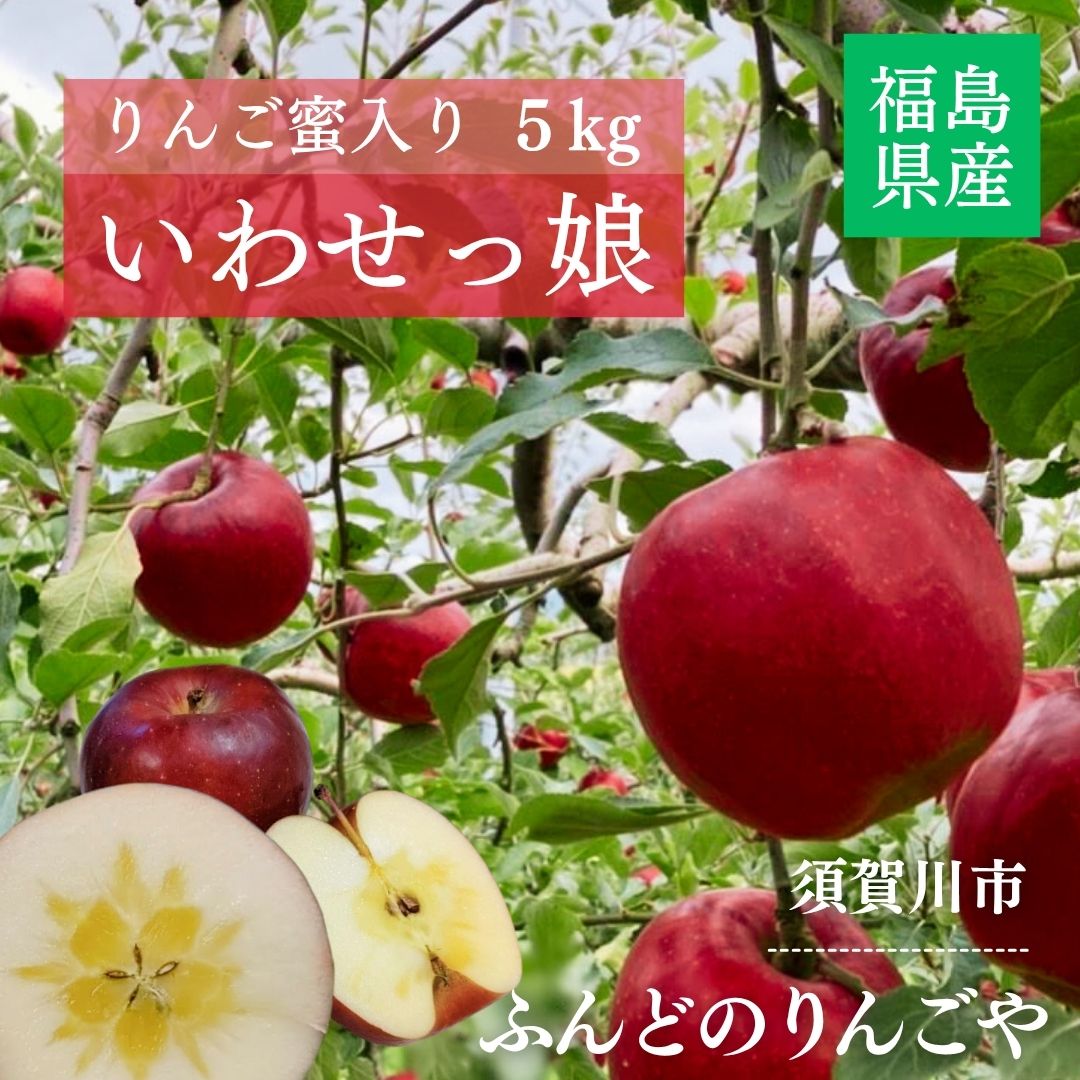 楽天市場】りんご 【ふんどのりんごや】 オリジナル品種 いわせっ娘