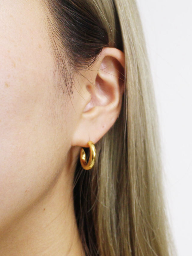 楽天市場】【CAREERING / キャリアリング】 【両耳用】PLACEBO 301F