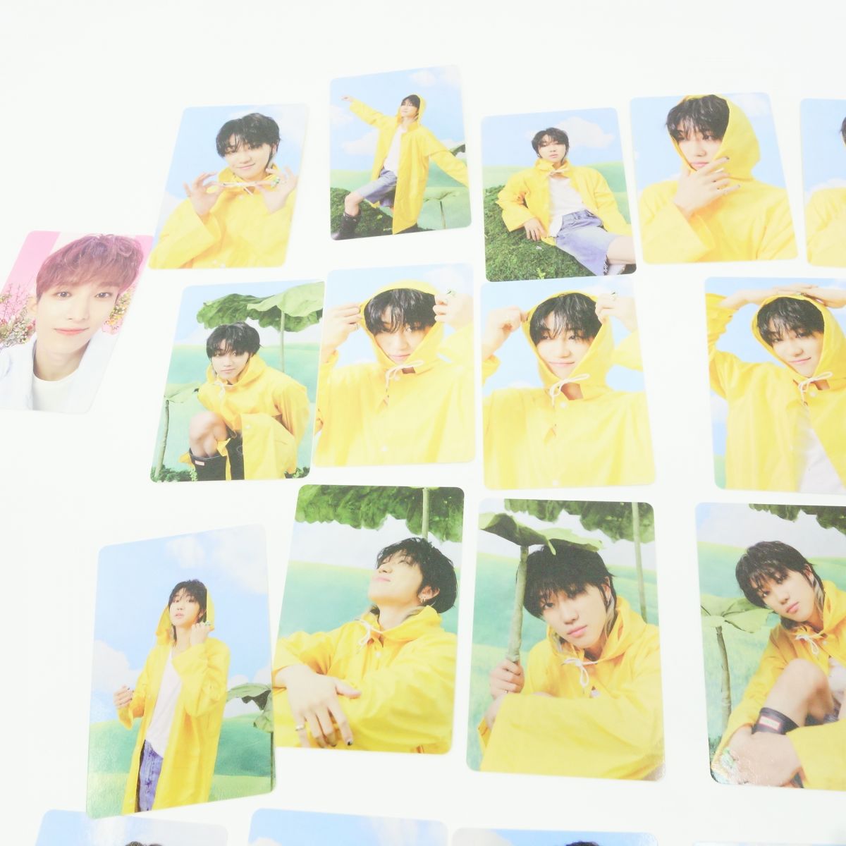 楽天市場】SEVENTEEN セブチ トレカ まとめ バインダー付き ※現状品