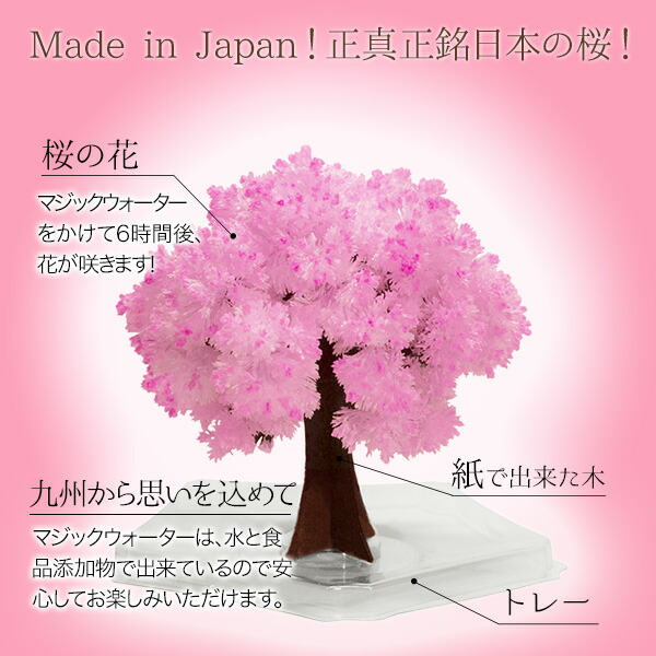 楽天市場】【メール便】マジック桜ミニ Magic桜ミニ 6時間で咲くサクラ