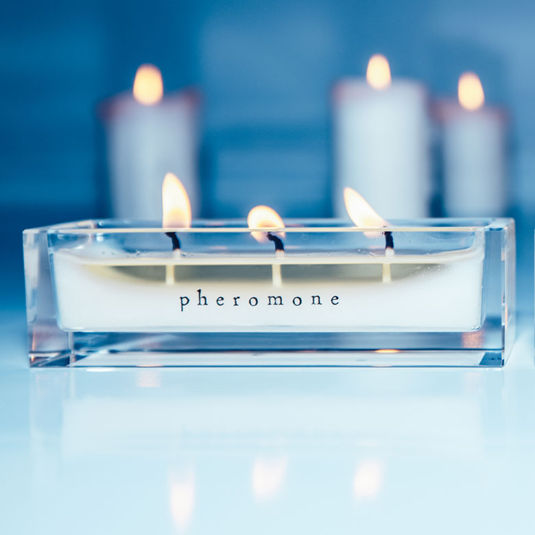 楽天市場】Bedin ベディン 37℃美容液キャンドル フェロモン スリープ