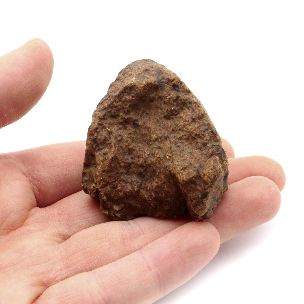 楽天市場】隕石 モロッコの通販