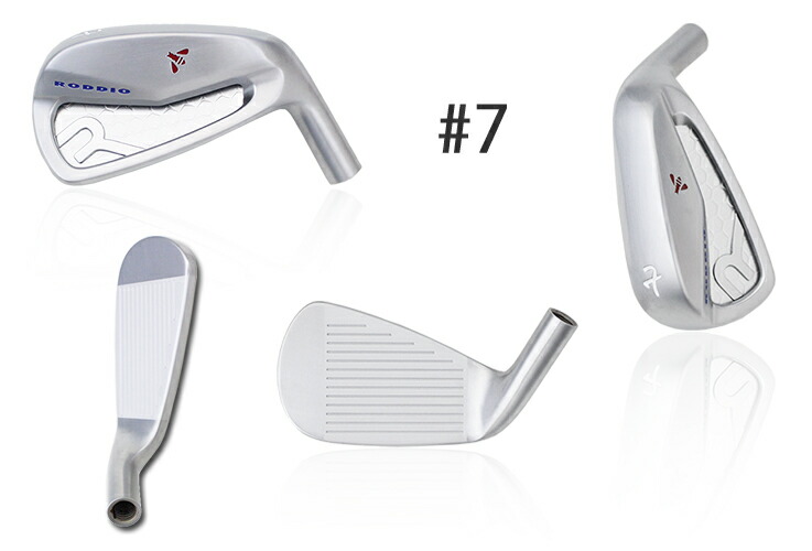 楽天市場】Roddio(ロッディオ) PC フォージド アイアン Light+Tour AD