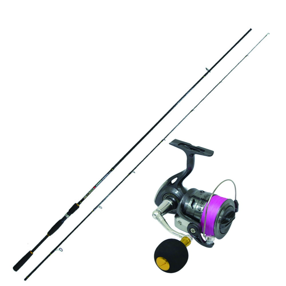 楽天市場】シーバスセット DESIDE SP10F＆Bayspin ZX 5000( seabassset