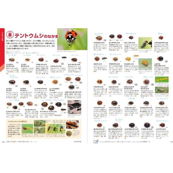 楽天市場】Gakken 学研の図鑑LIVE新版 特典付きギフトボックス3冊