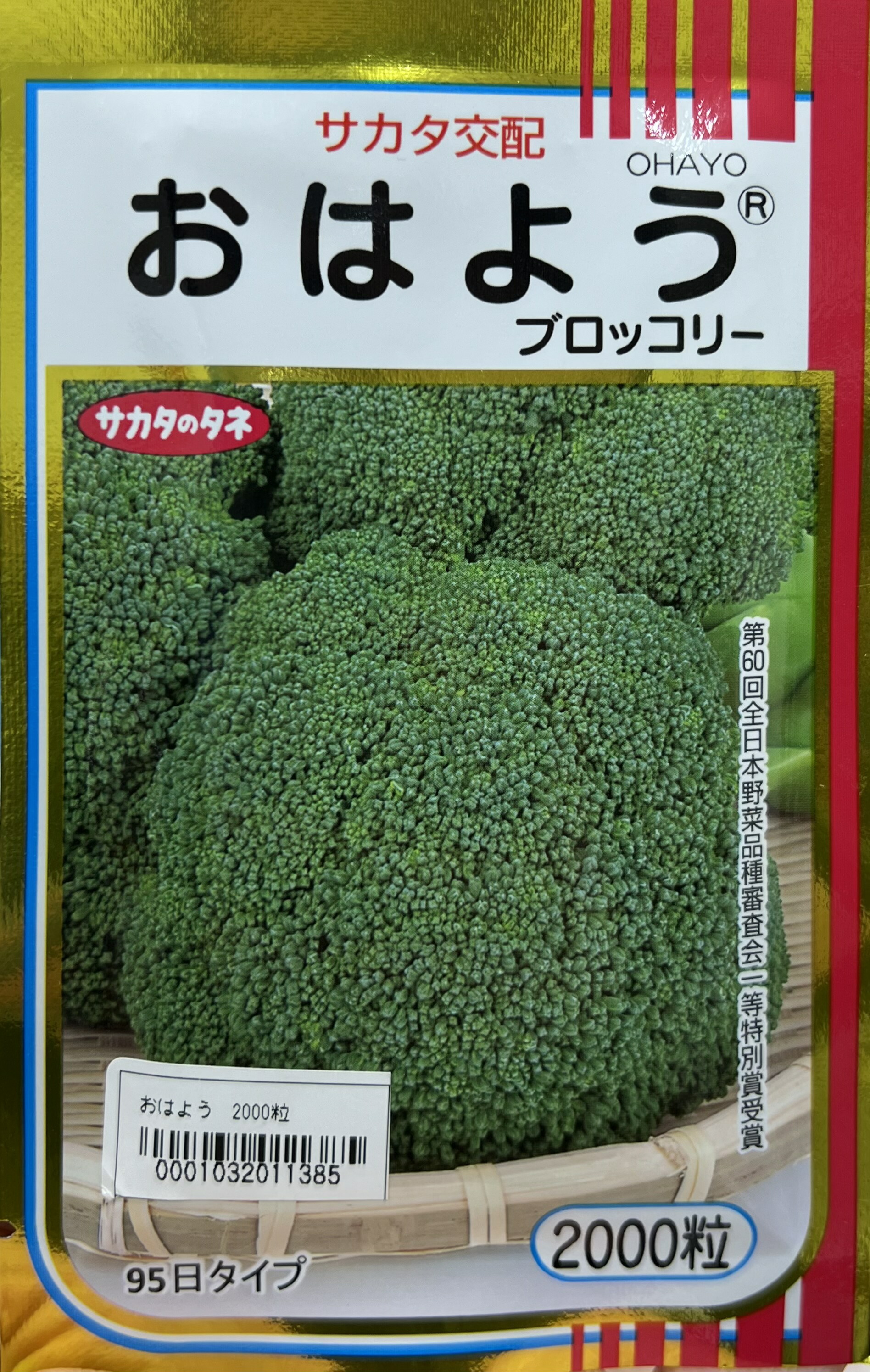 楽天市場】ブロッコリー 種 おはよう 【2000粒】 大袋 営利用 サカタ