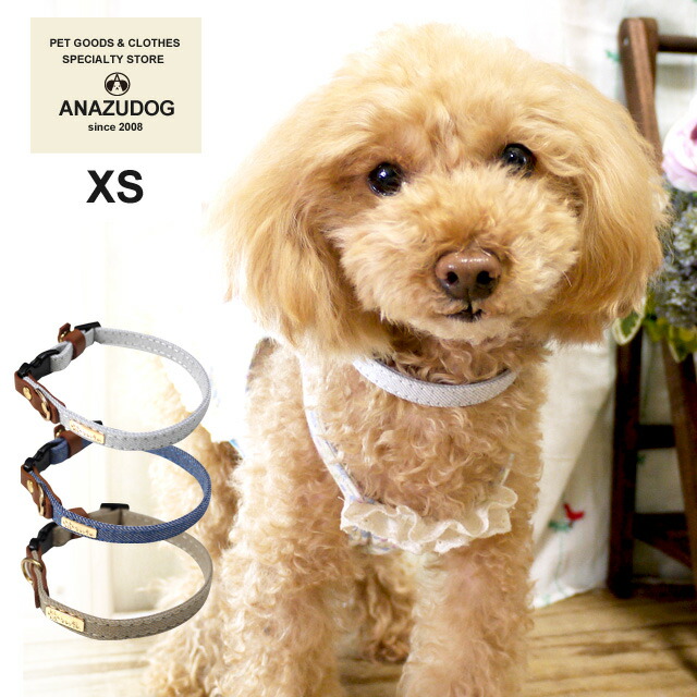 楽天市場】アザレプロダクツ セゾンカラーベルの通販