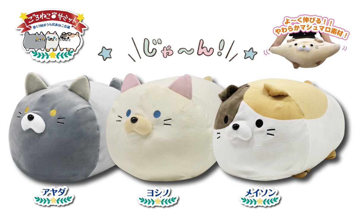 楽天市場】ごろねこサミット 第17回 おうち代表ねこ会議 [アヤダ] 単品