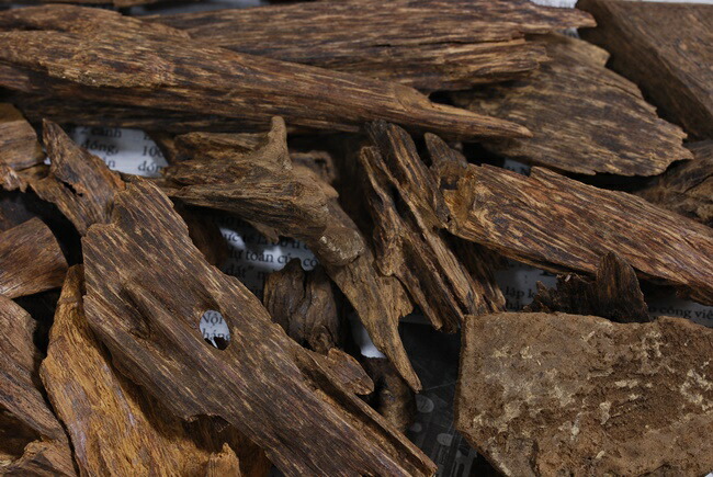 楽天市場】ベトナム産 天然沈香 高ランク甘味 10g量り売り 沈水香木