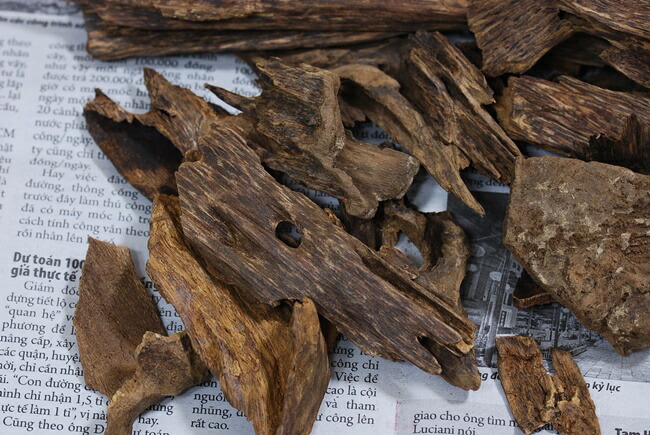 楽天市場】天然沈香【高ランク甘味 10g】量り売り 沈水香木 香木 沈香