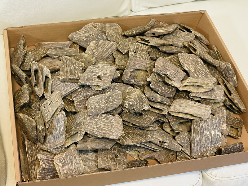 楽天市場】沈香 ベトナム産高級栽培沈香【訳あり中高ランク】100g