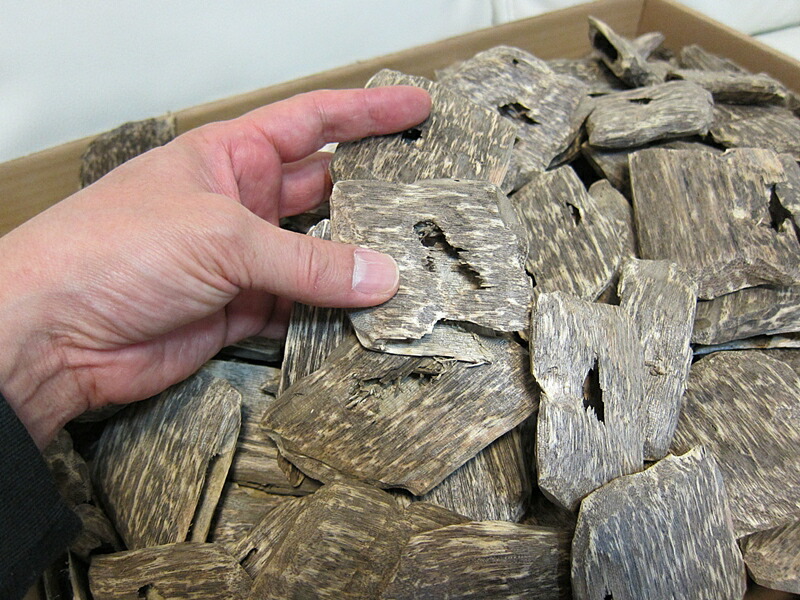 楽天市場】沈香 ベトナム産高級栽培沈香【訳あり中高ランク】100g