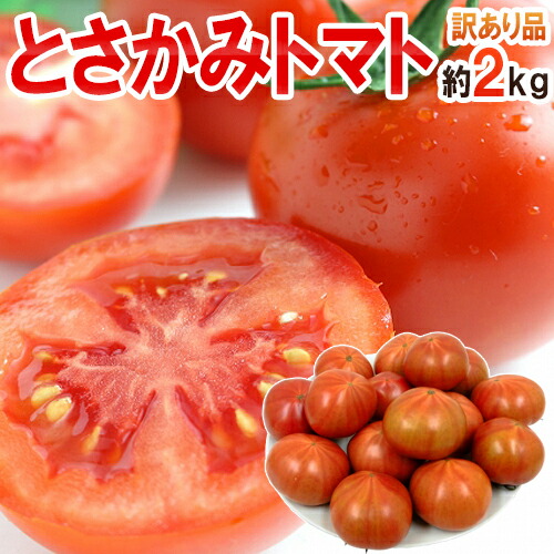 楽天市場】高糖度 夜須のフルーツトマト ”高知県夜須産 とさかみトマト