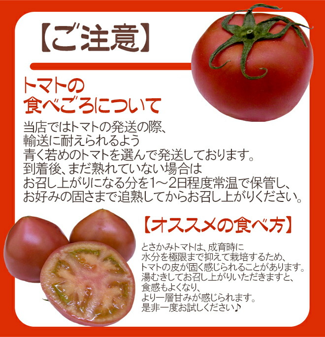楽天市場】高糖度 夜須のフルーツトマト ”高知県夜須産 とさかみトマト