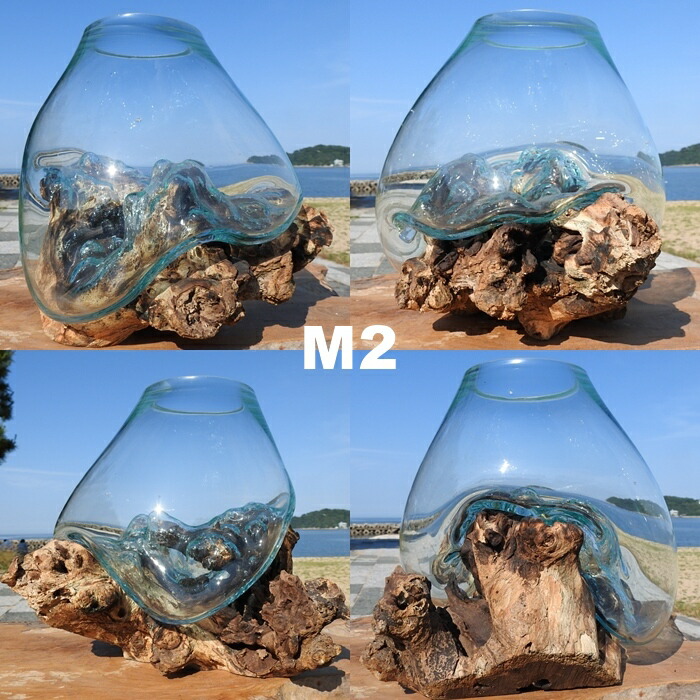 楽天市場】選べる 流木ガラスオブジェ 大きい M24 花瓶 アクアリウム