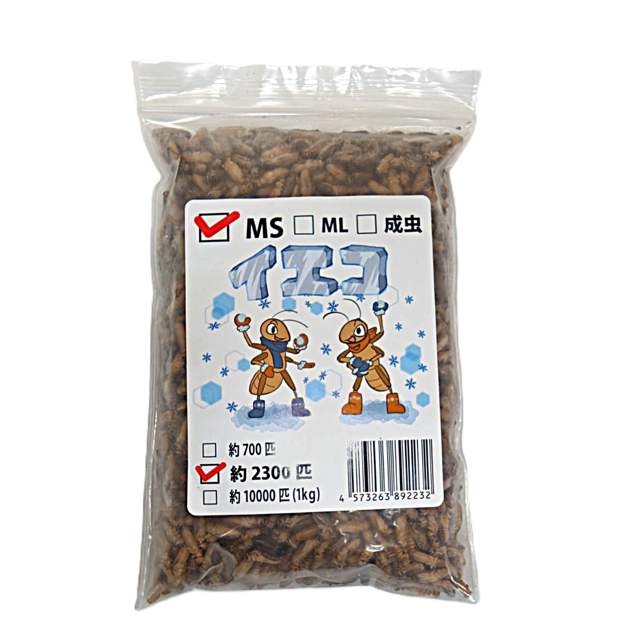 楽天市場】邑楽ファーム 冷凍イエコオロギ MSサイズ 爬虫類 両生類