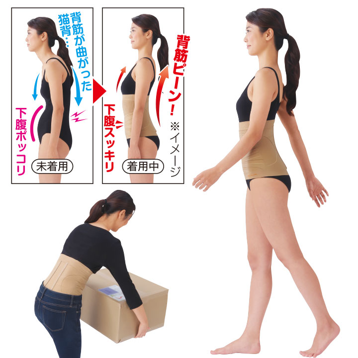 楽天市場】美姿勢サポーター（LL〜3L/3L〜4L）[Z1167] インナー 医学