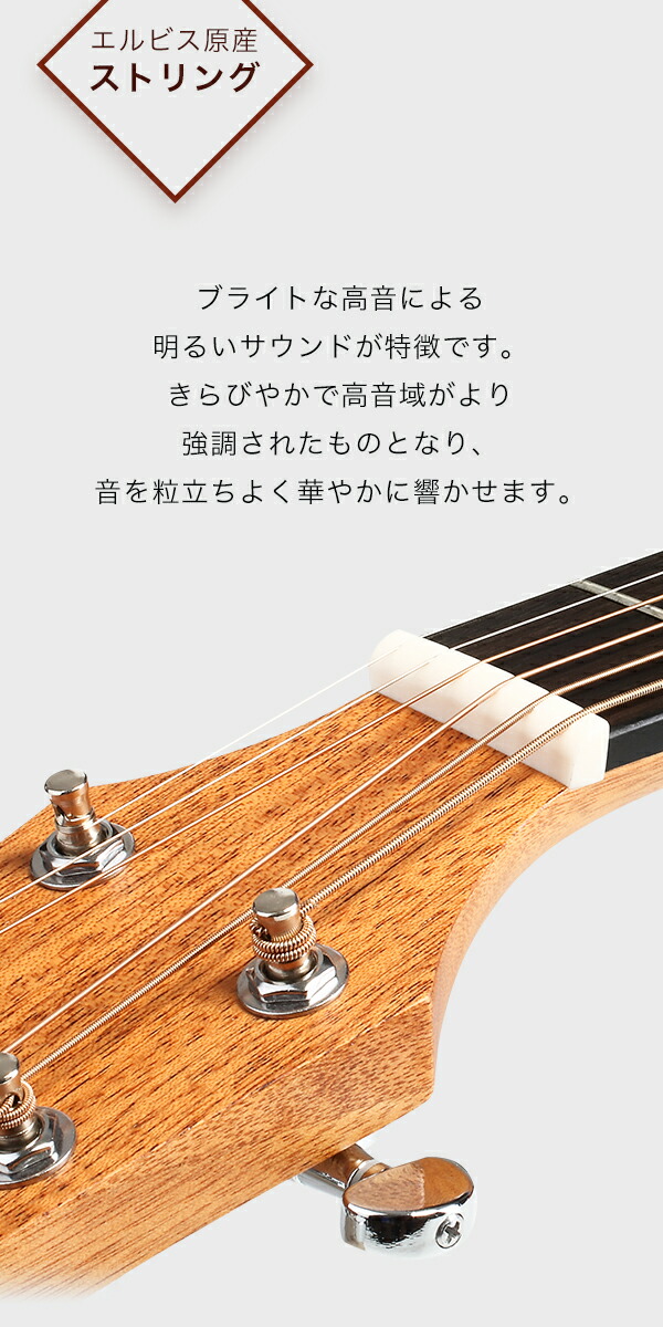 楽天市場】【初心者定番9点セット】ELVISエルビス Master Mini 10
