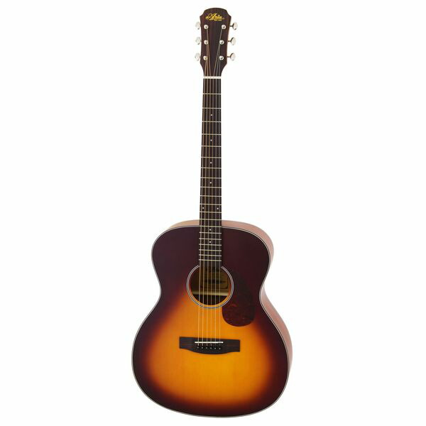 アリア Aria 100 series Aria-101 Auditorium [MTTS