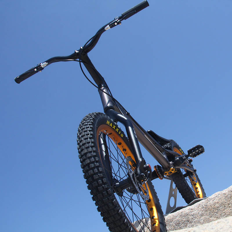 楽天市場】トライアル自転車FullMarks 20インチ【 COLOMA Disk