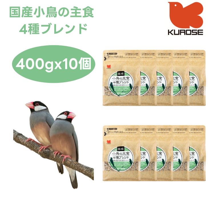 楽天市場】売り尽くし特価500OFF【3,490円】訳あり着色米肥料や小鳥の