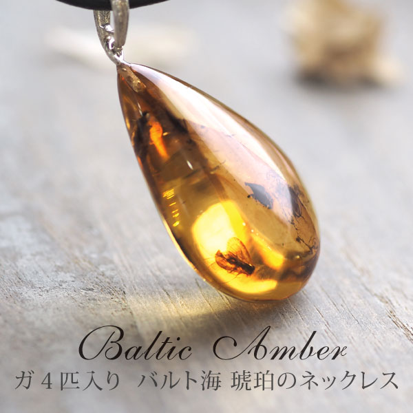 楽天市場】【バルト海の琥珀】ペンダントトップ 虫入り琥珀 こはく