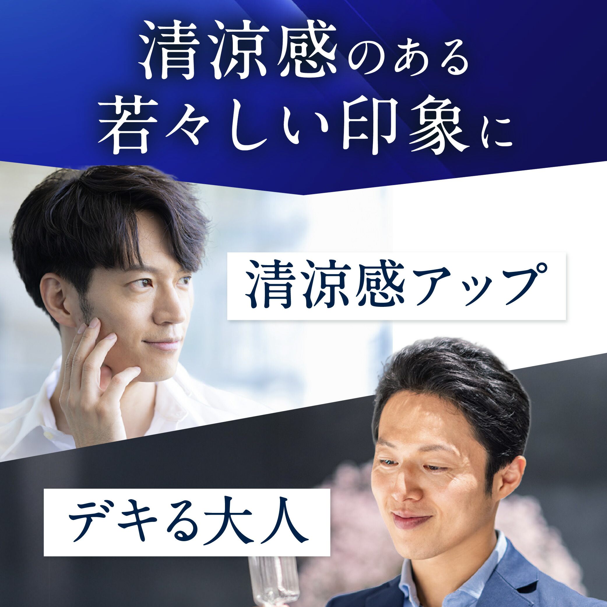 楽天市場】チェルラーファルコ パーフェクトクリーム 40g ＆ アクア