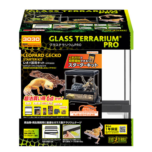 楽天市場】レオパ グラステラリウム 3030の通販