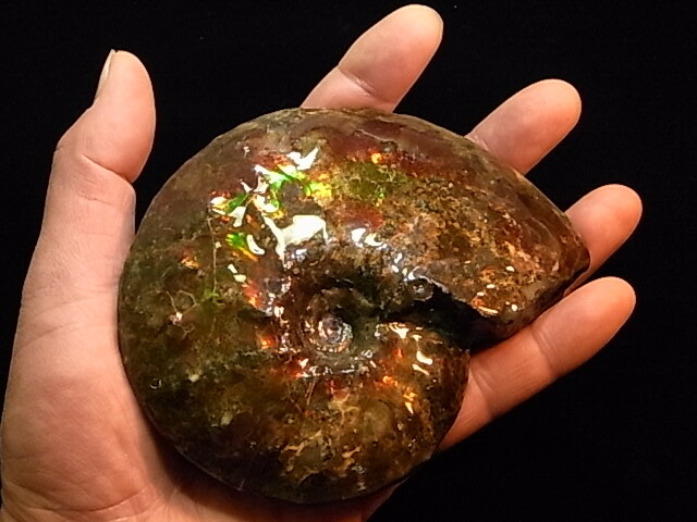 アンモナイト 383g アンモライト オパール 原石 鑑賞石 自然石 誕生石