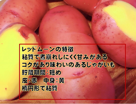 楽天市場】レッドムーン じゃがいも種芋 1キロ B品 北海道、青森県産