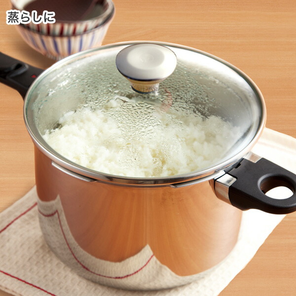 楽天市場】ガラス蓋 鍋ふた ゼロ活力なべLスリム Sサイズ IH専用 なべ