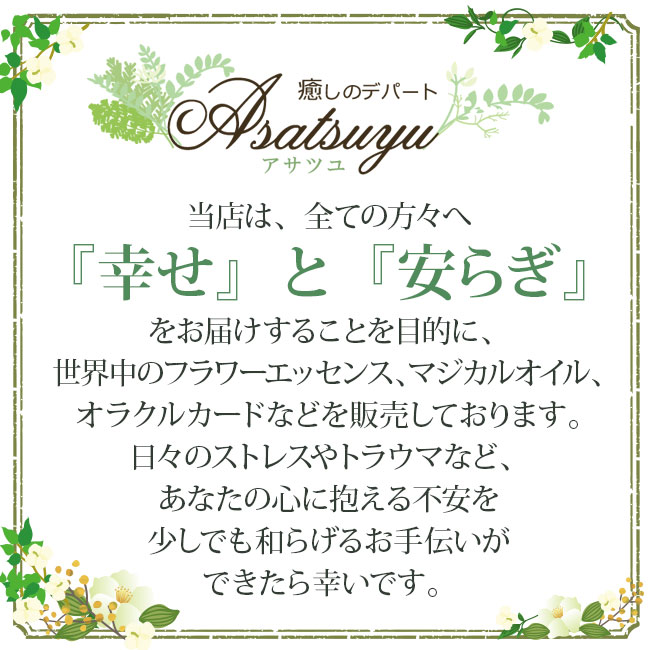 楽天市場】ラーヴァ Lava コルテPHIエッセンス その他スペシャル