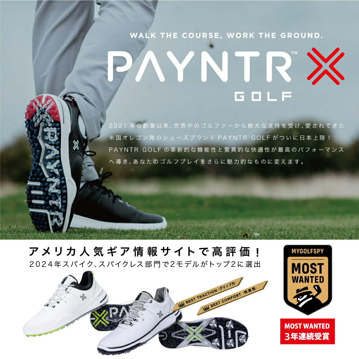 楽天市場】【レディース用】 ペインターゴルフ ゴルフシューズ