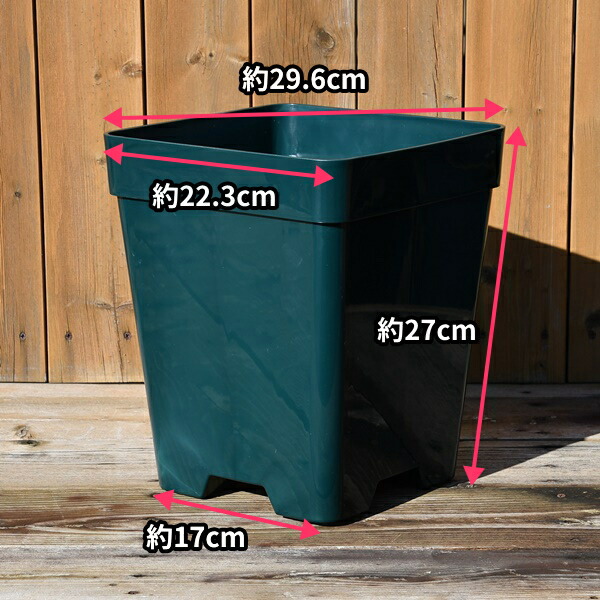 楽天市場】【8角】プレミアローズセレクション【8号角深鉢】ロサ