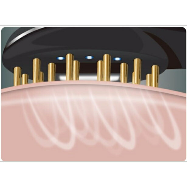 楽天市場】【送料無料】ルルドフェイスメイク プラズマエステブラシ AX