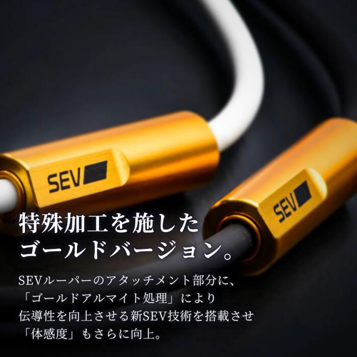 楽天市場】【ポイント5倍！楽天1位！レビューで延長保証+6ヶ月！】 SEV