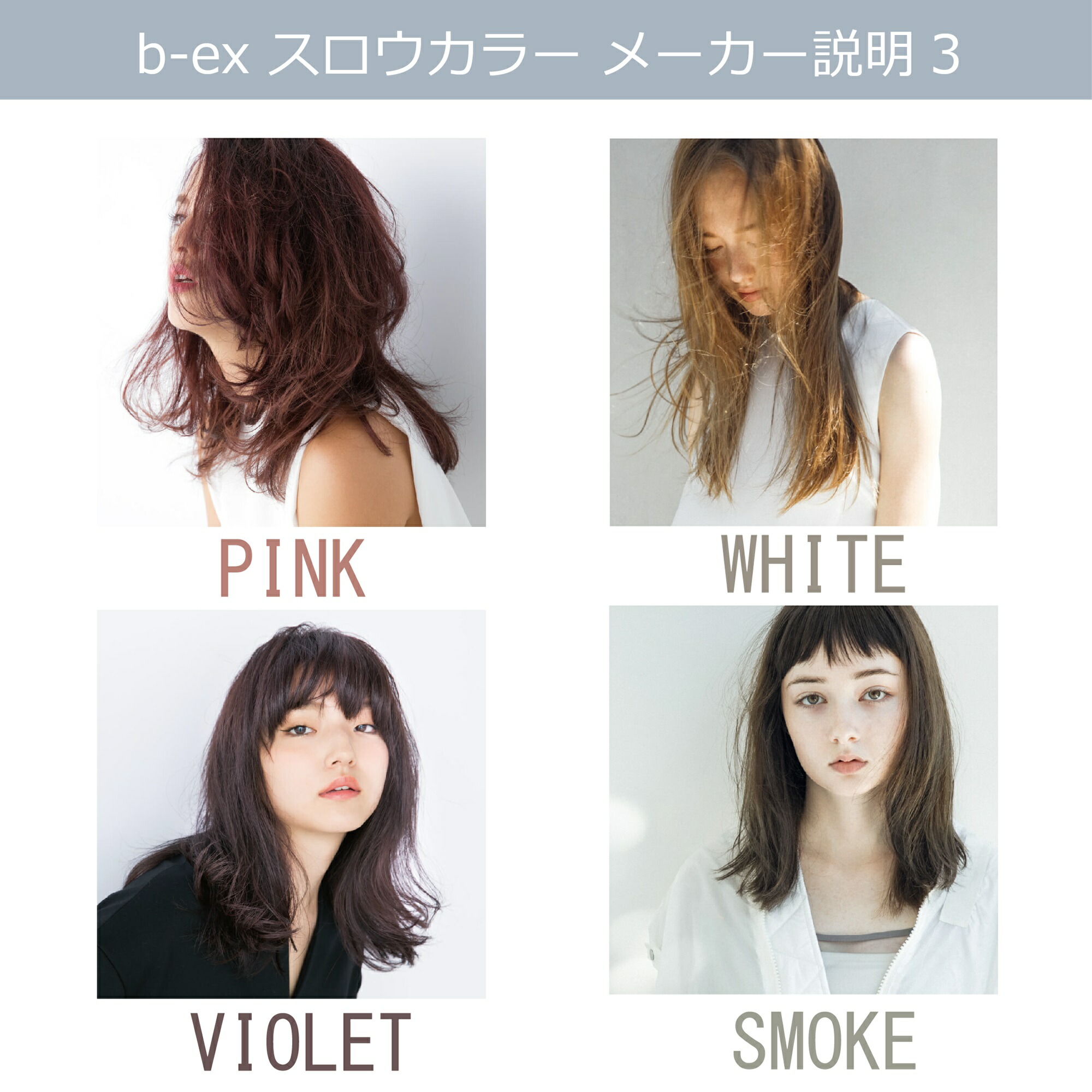 楽天市場】スロウカラー [ バイオレット V/08 ] 100g パープル