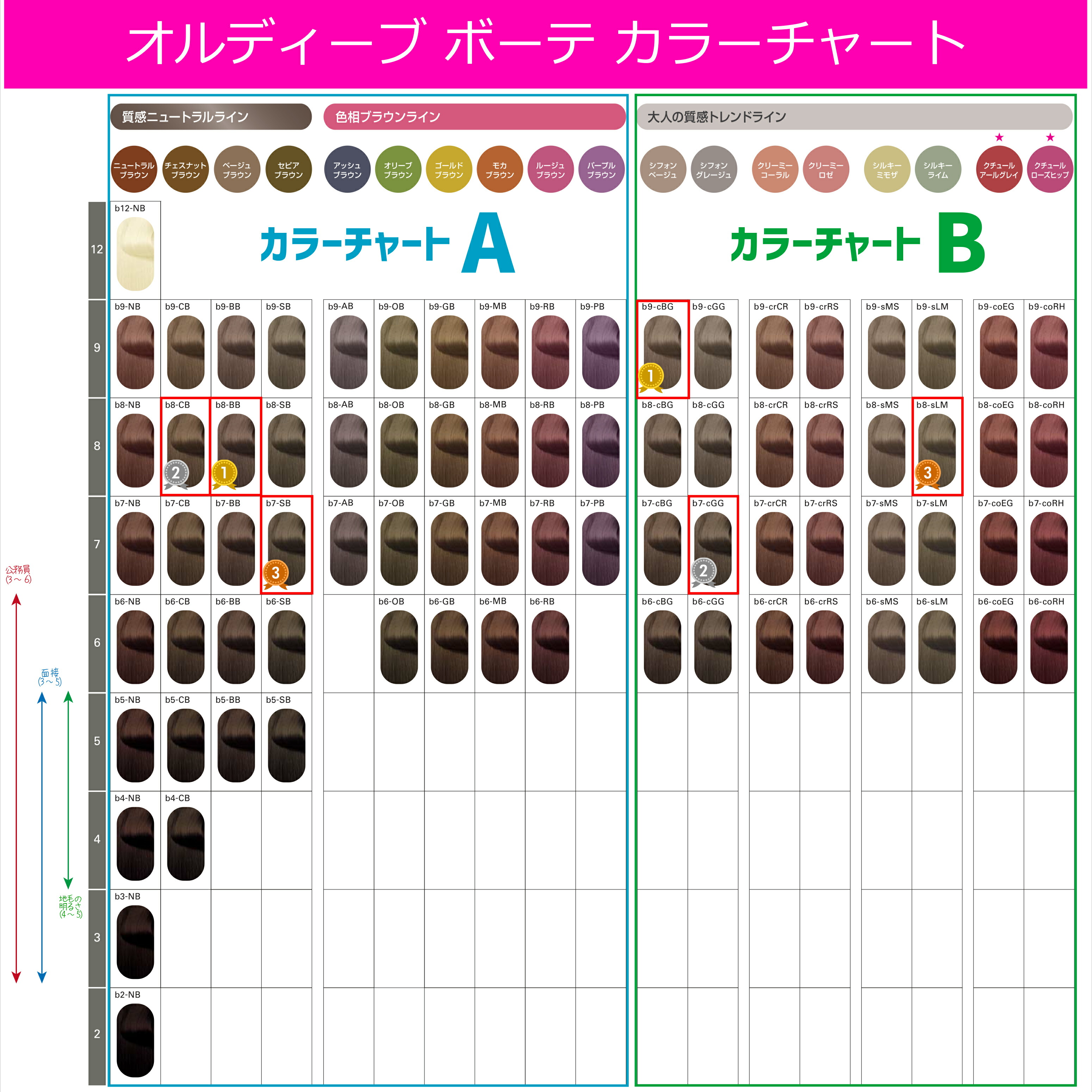 楽天市場】オルディーブボーテ [ ニュートラル ブラウン b3-NB