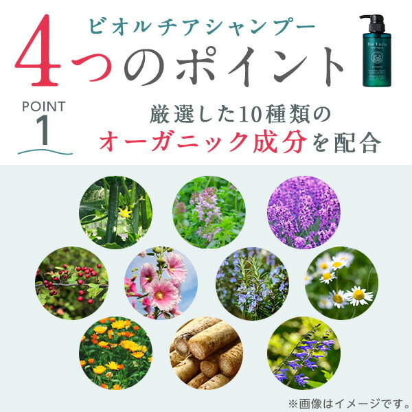 楽天市場】公式 Bio Lucia ビオルチア シャンプー 1本×300mL