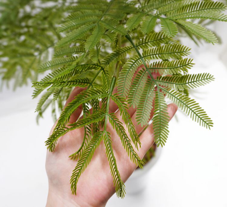 楽天市場】エバーフレッシュ 180cm (ネムノキ 造花 樹木 人工観葉植物