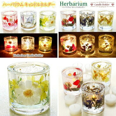 楽天市場】ジェルワックス 200g 手作りキャンドル用 材料 ジェル