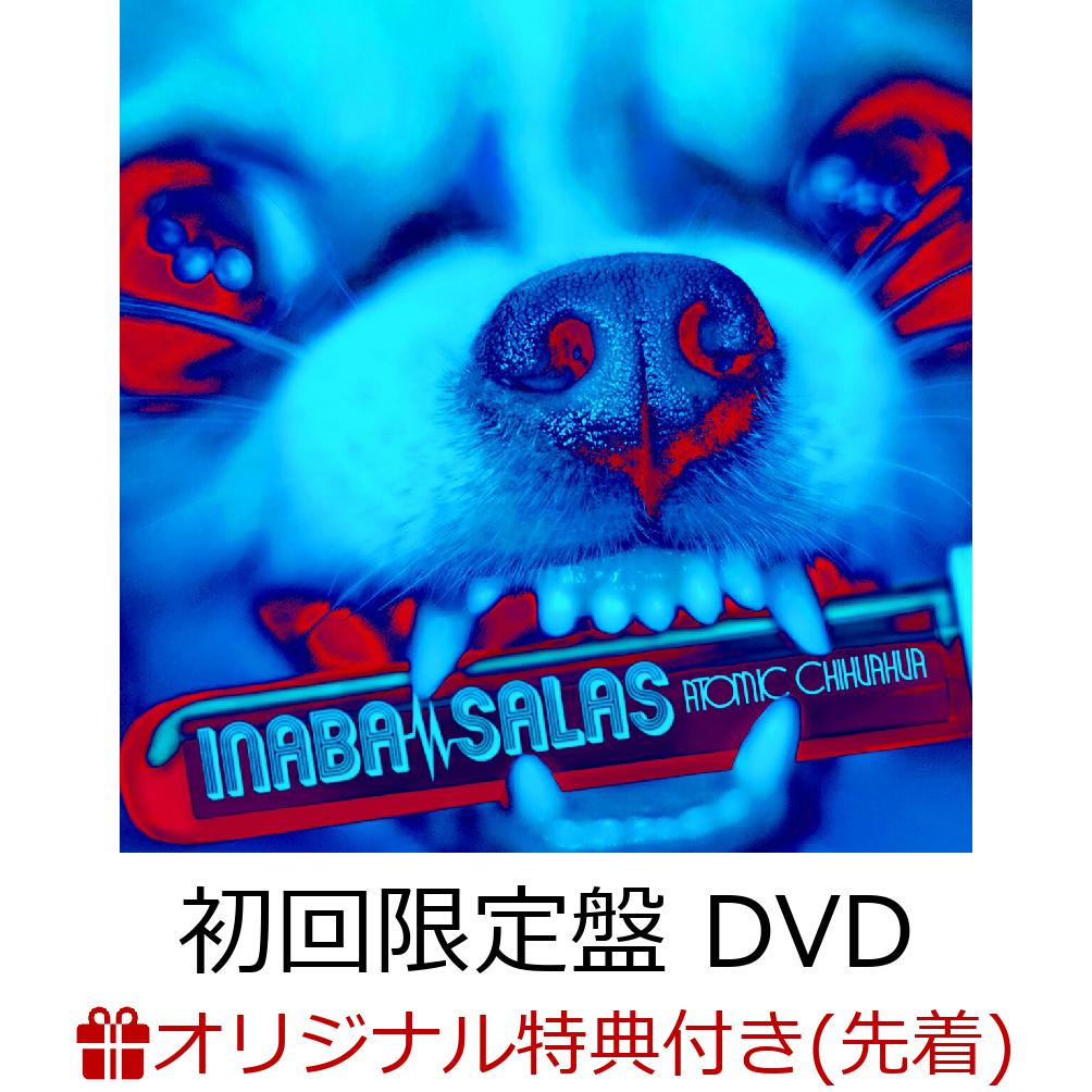 楽天ブックス: 【楽天ブックス限定先着特典】ATOMIC CHIHUAHUA (初回