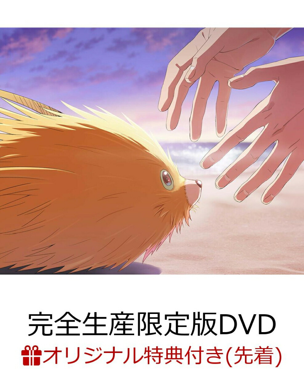 楽天ブックス: 君には届かない。 Blu-ray BOX【Blu-ray】 - 前田拳太郎