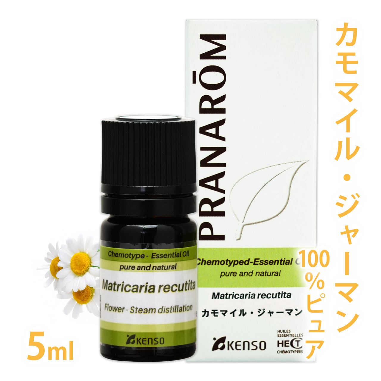 アロマ オイル プラナロム」の人気商品一覧 | 安い商品を通販サイト